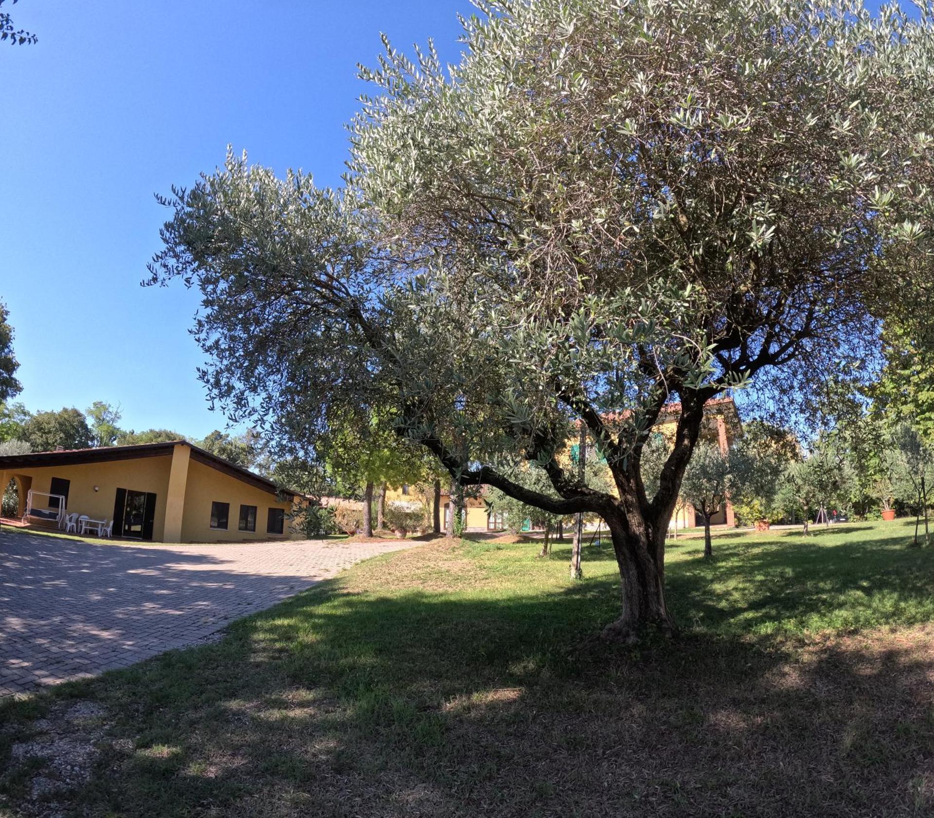 Agriturismo Gardenali - Photo 56