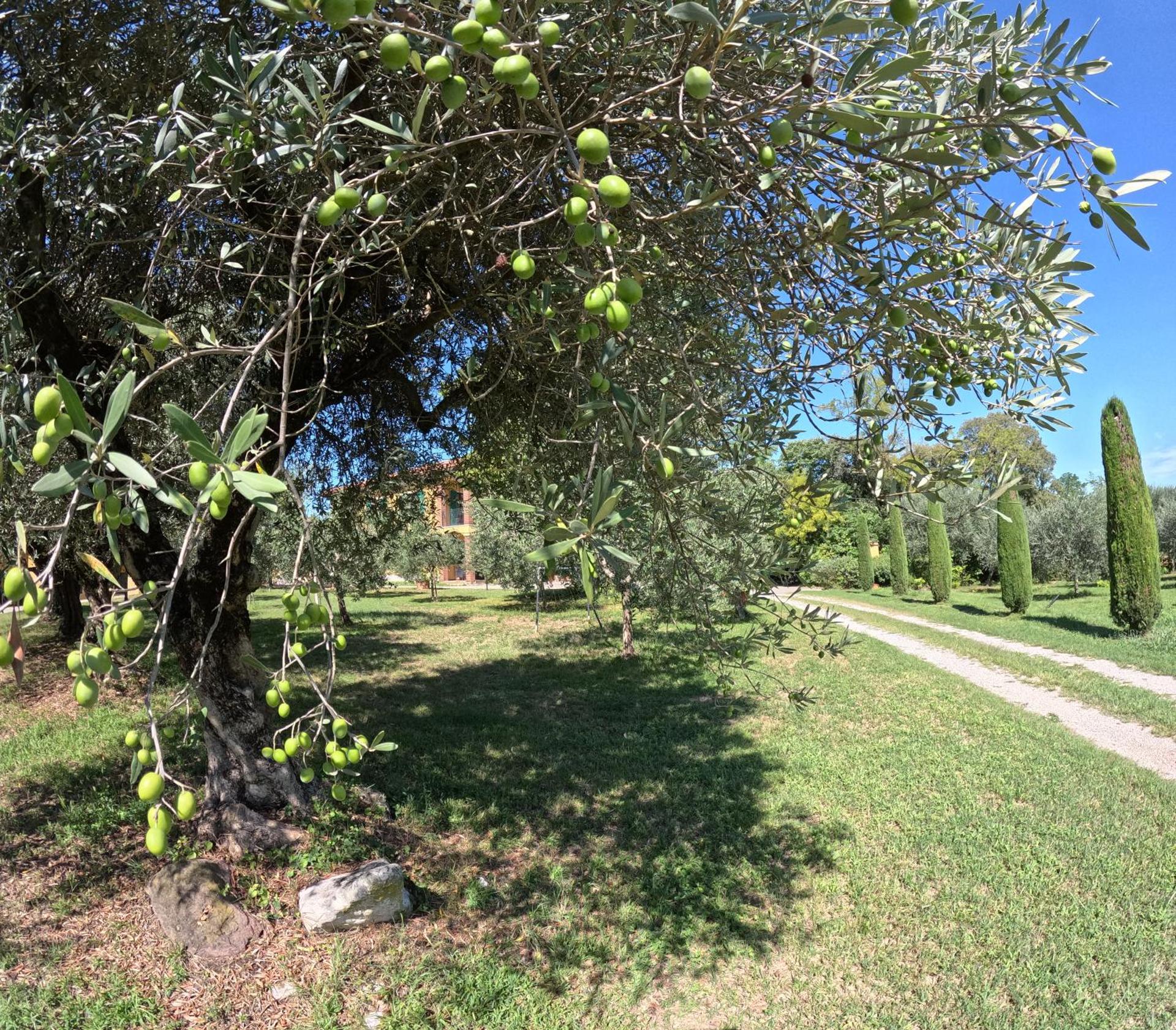 Agriturismo Gardenali - Photo 32