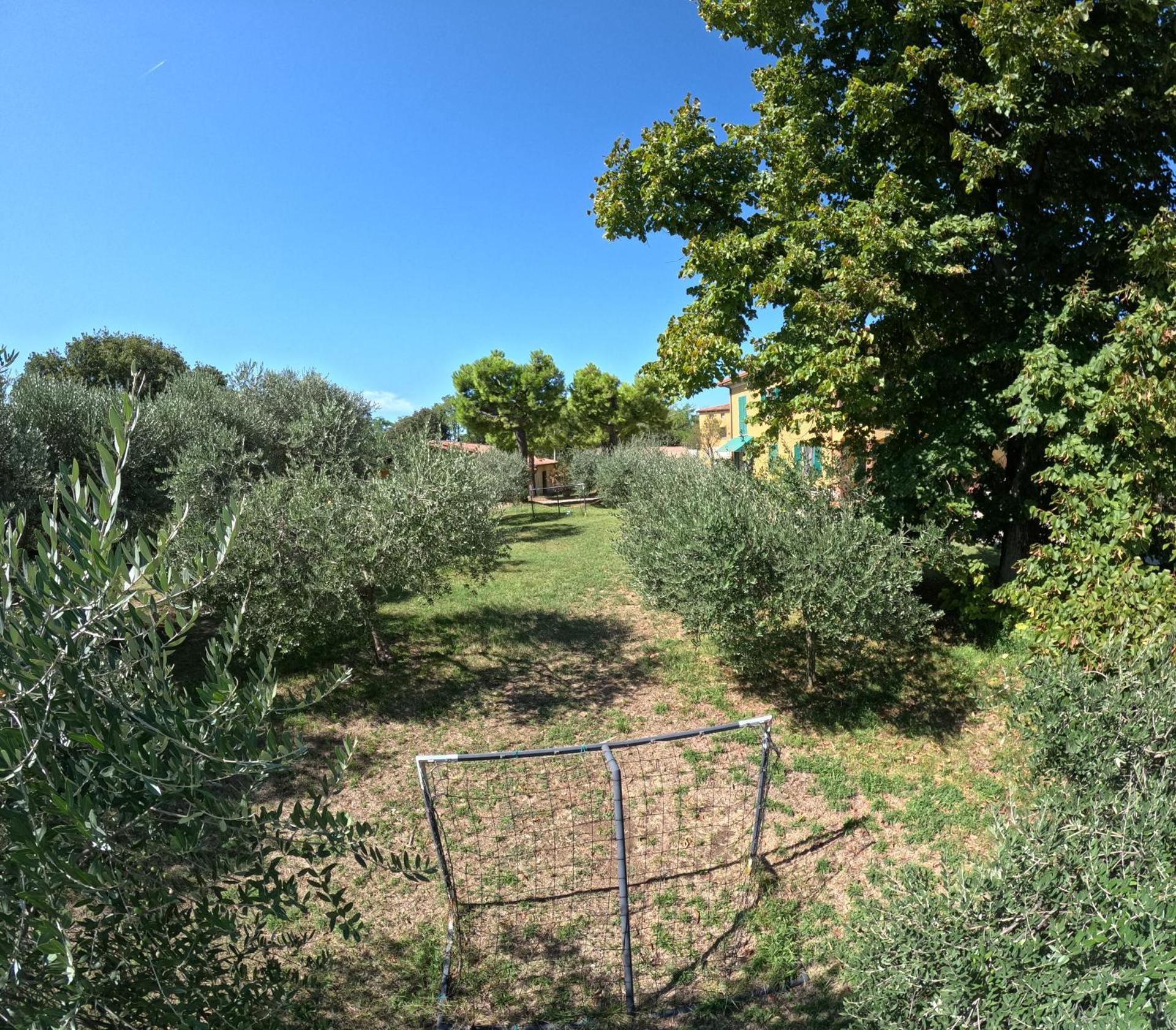 Agriturismo Gardenali - Photo 28