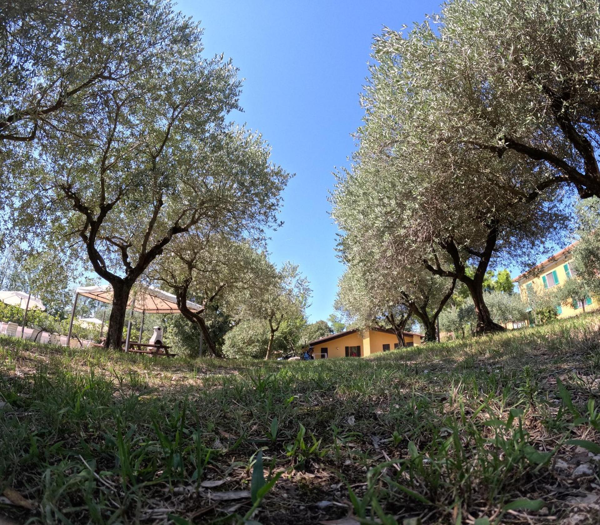 Agriturismo Gardenali - Photo 90