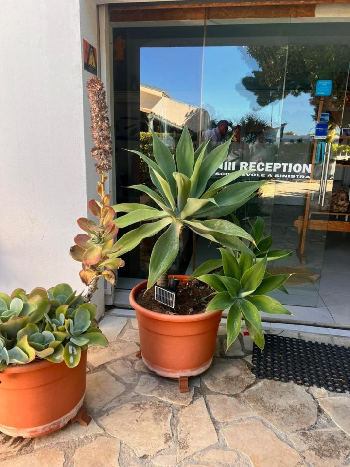 Villa Aurea - Photo 66