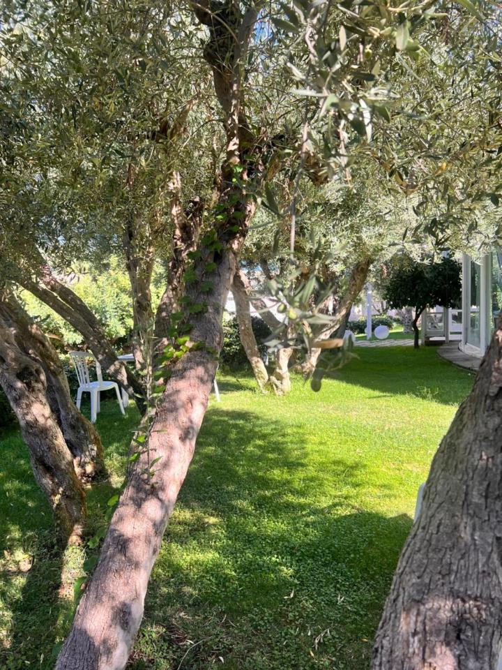 Villa Aurea - Photo 117