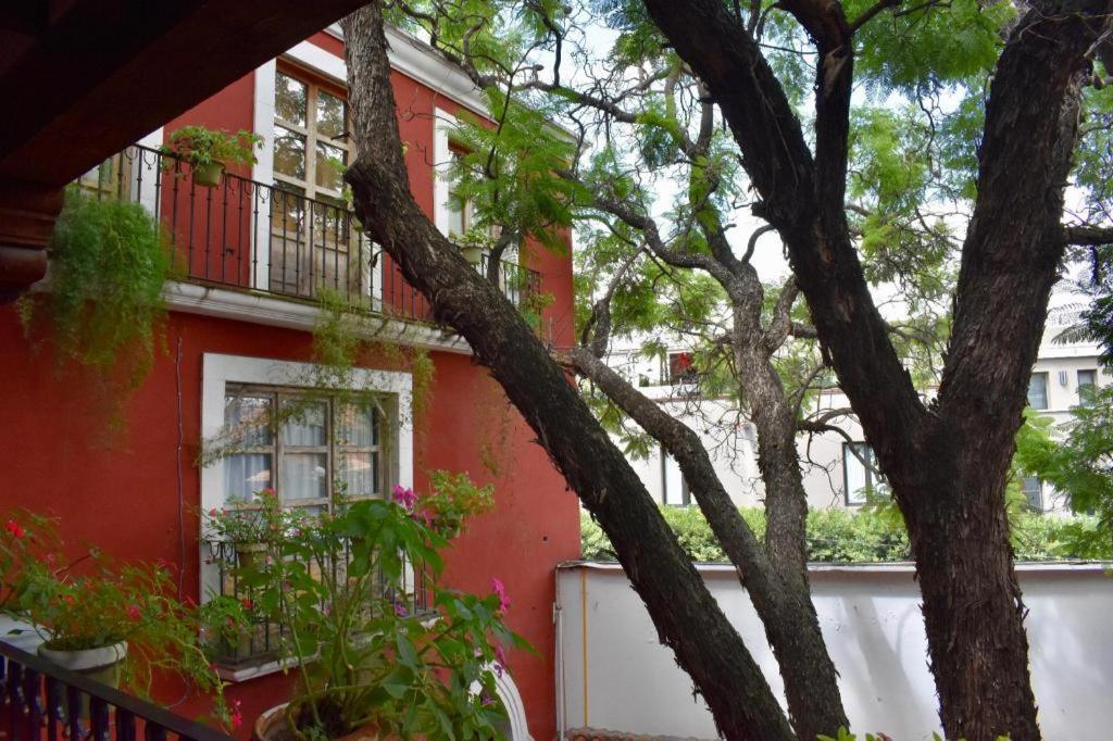 HOTEL ANA CATALINA & SUITES - Photo 29