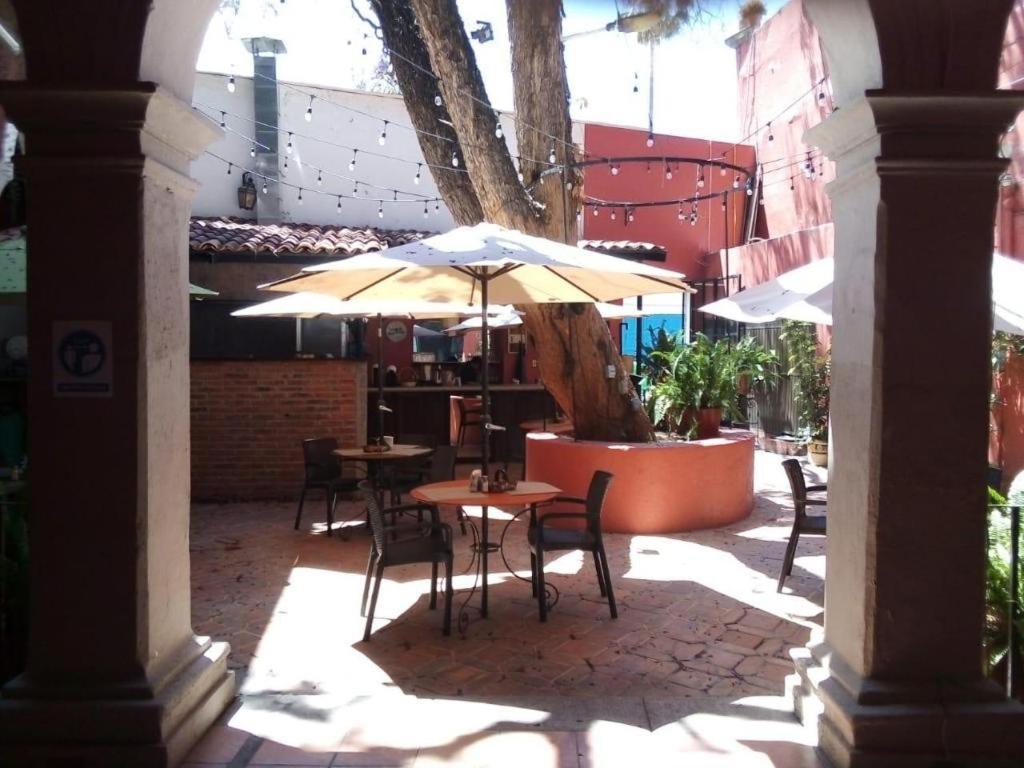 HOTEL ANA CATALINA & SUITES - Photo 26