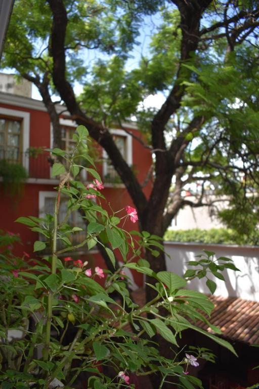 HOTEL ANA CATALINA & SUITES - Photo 25