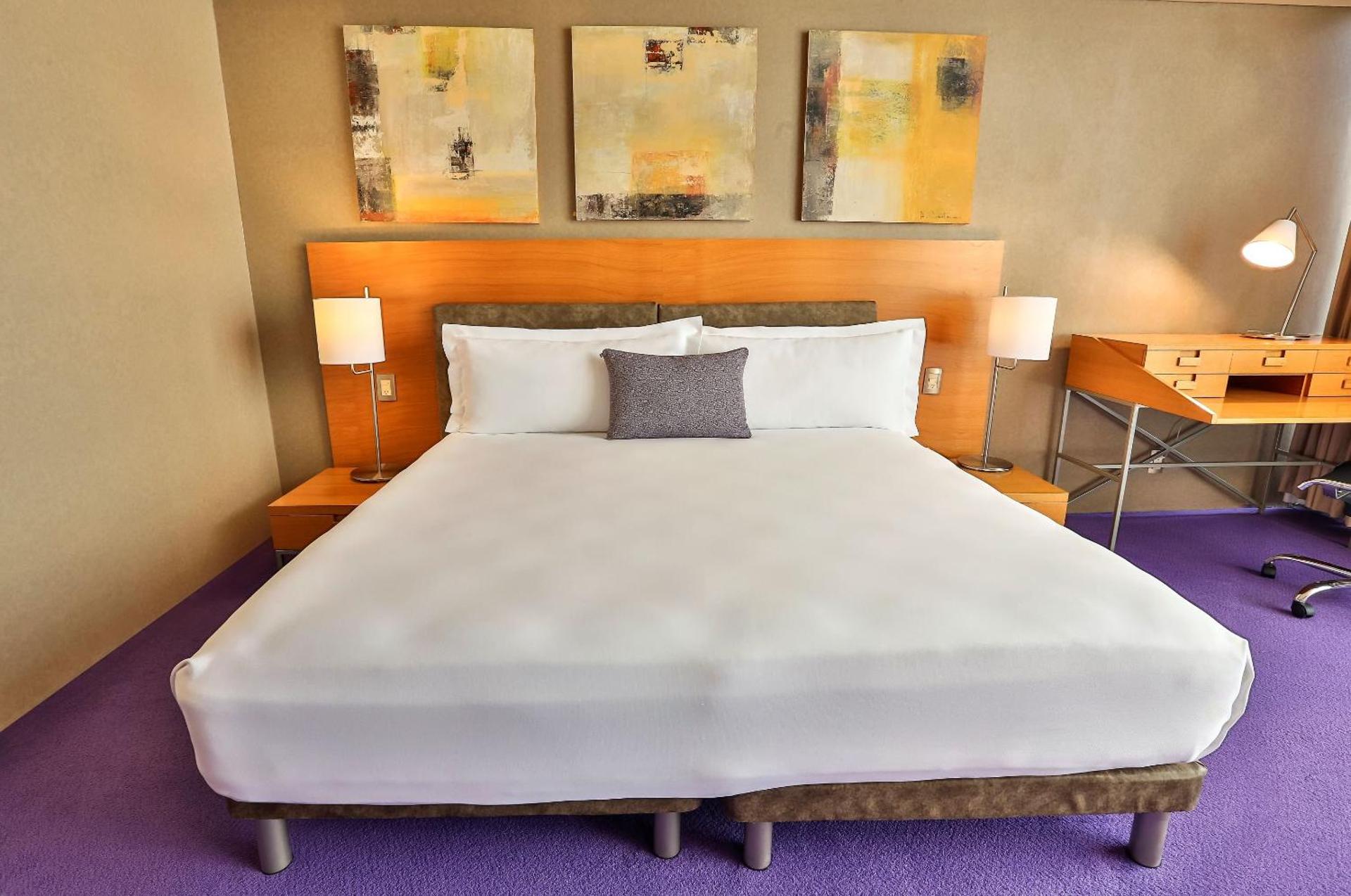 Barceló México Santa Fe - Photo 8