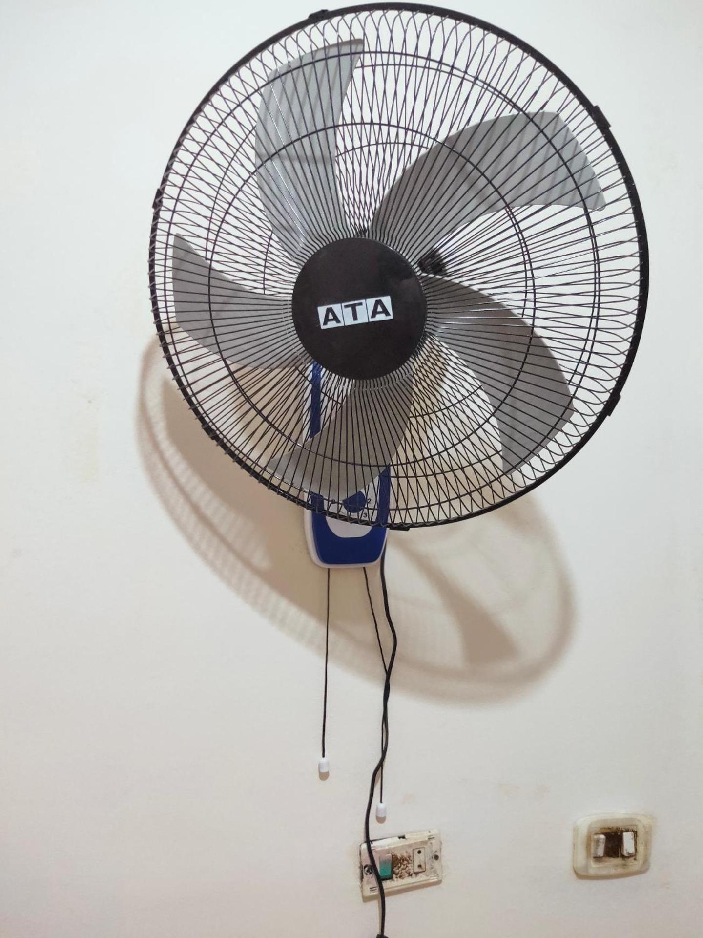 Alexandria Hostel هوستل الاسكندرية - Photo 37