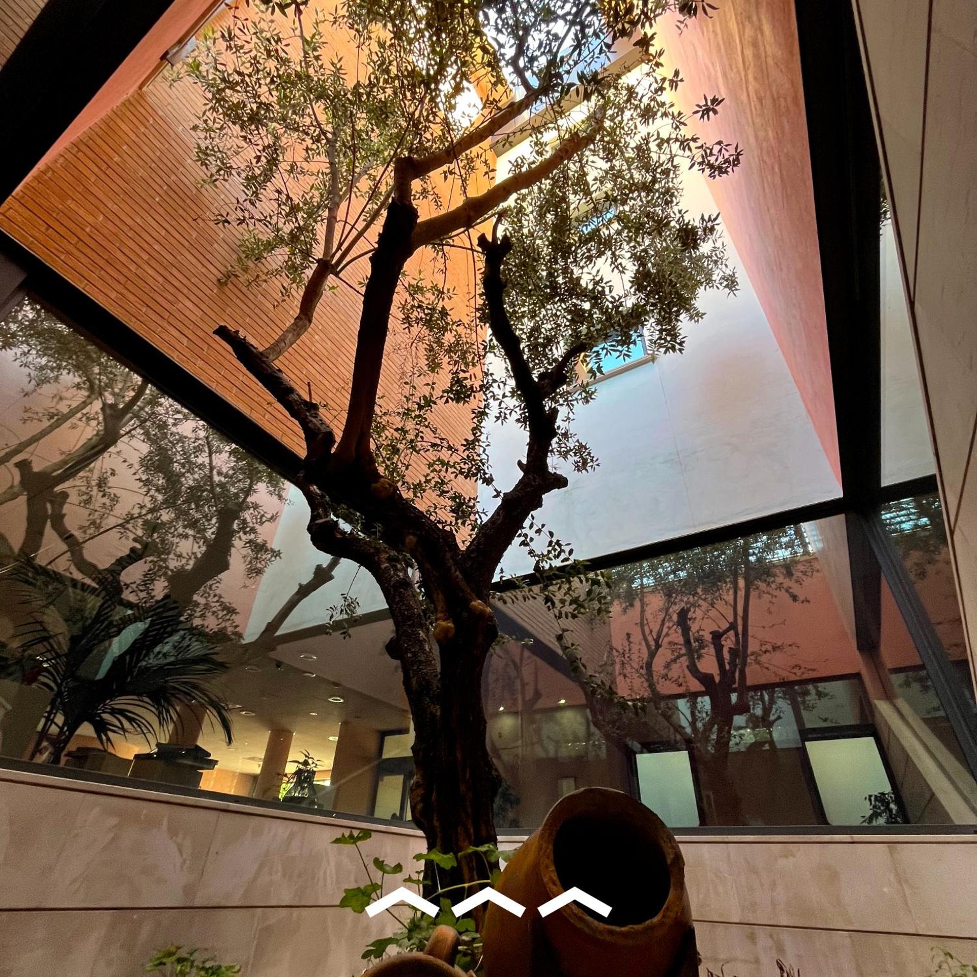 don guglielmo panoramic hotel & spa - Photo 94