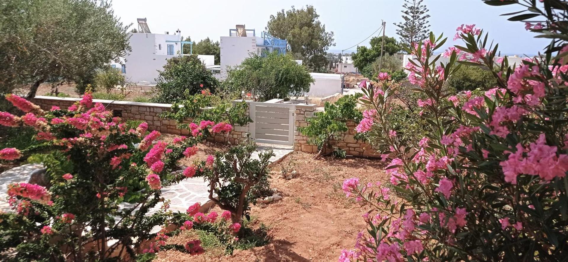 Anixis Studios Aliki Paros - Photo 139