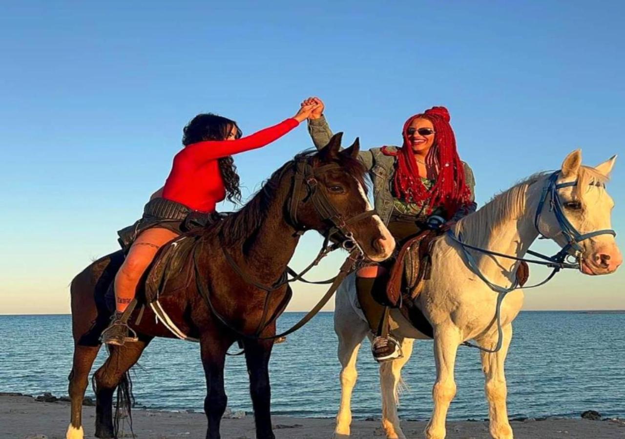 Davinci Beach Resort - Photo 59