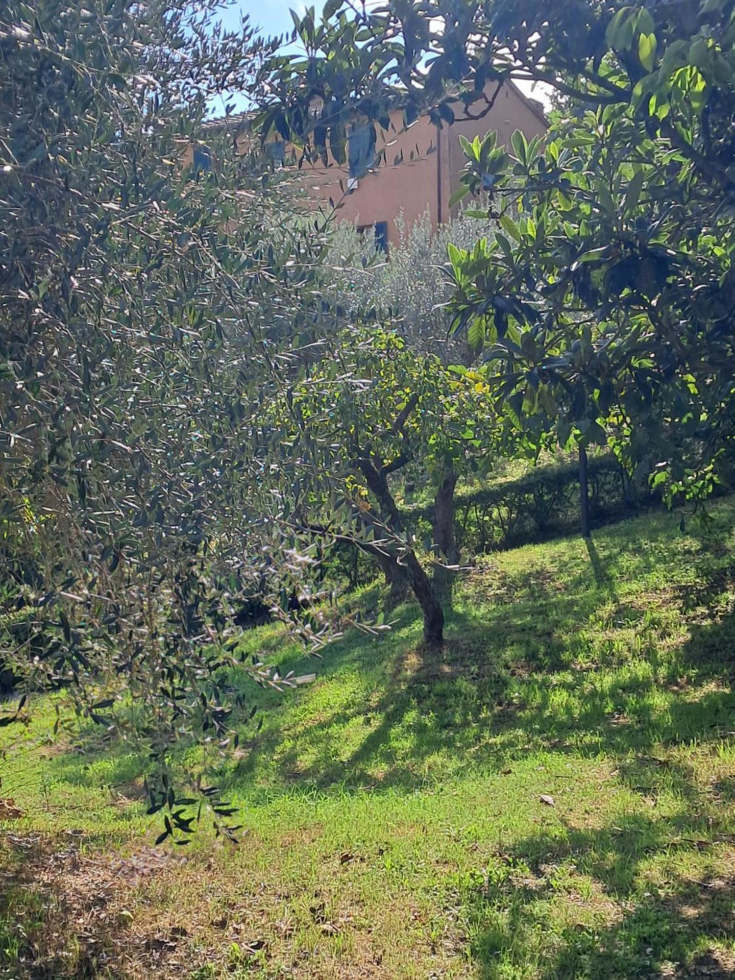 Hotel Minerva - Photo 249