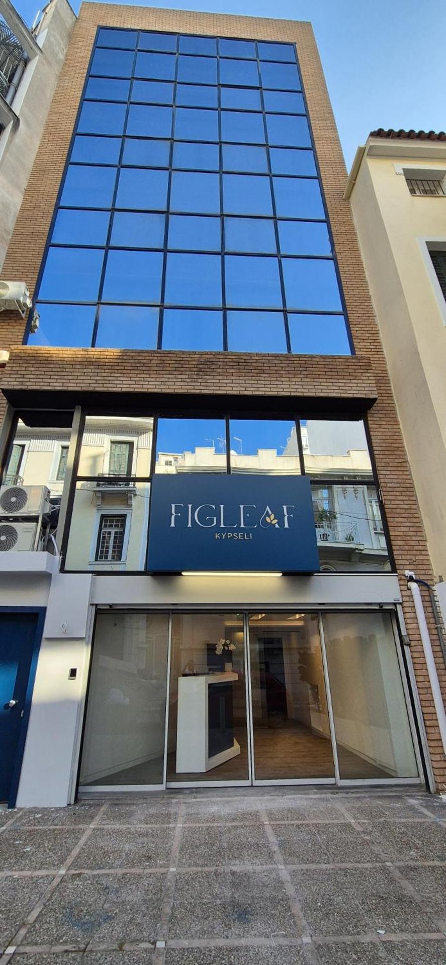 Figleaf Kypseli - Photo 97