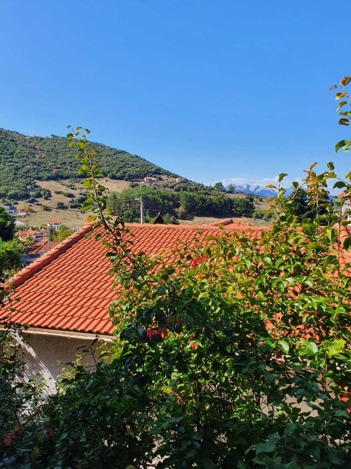 Ξενώνας Ελένη - Photo 6