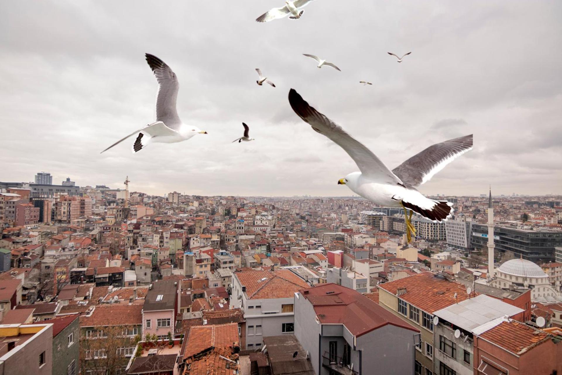 Taksim Roya Apartment - Taksim - Photo 16