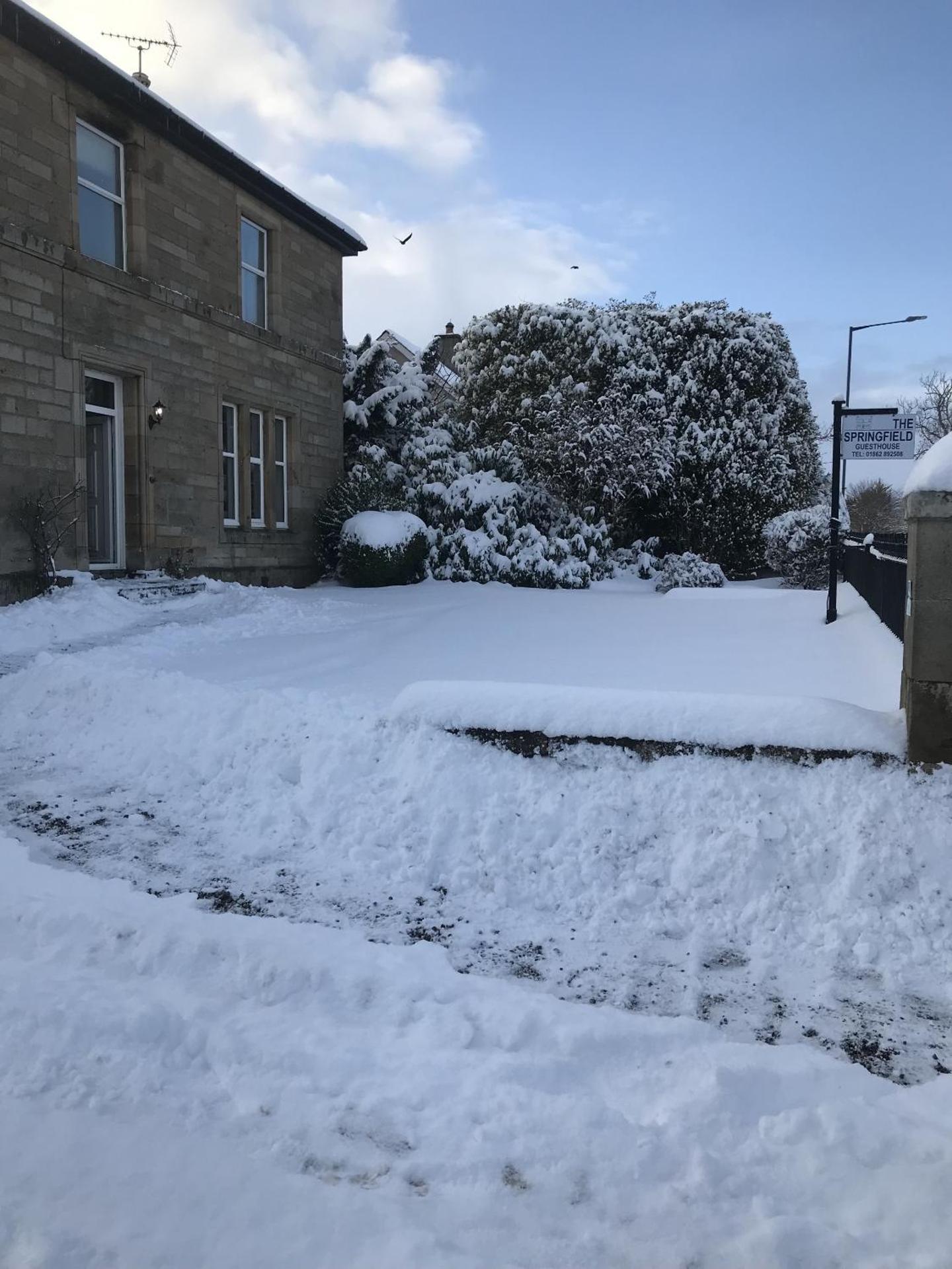 Springfield guest house - Photo 26