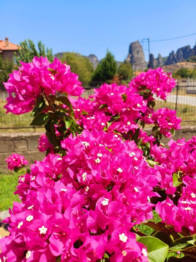 Room Ntina Kastraki - Photo 46