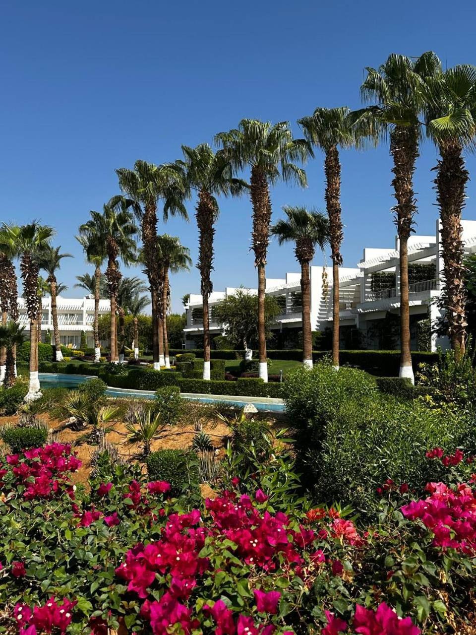 Monte Carlo Sharm Resort & Spa - Photo 167