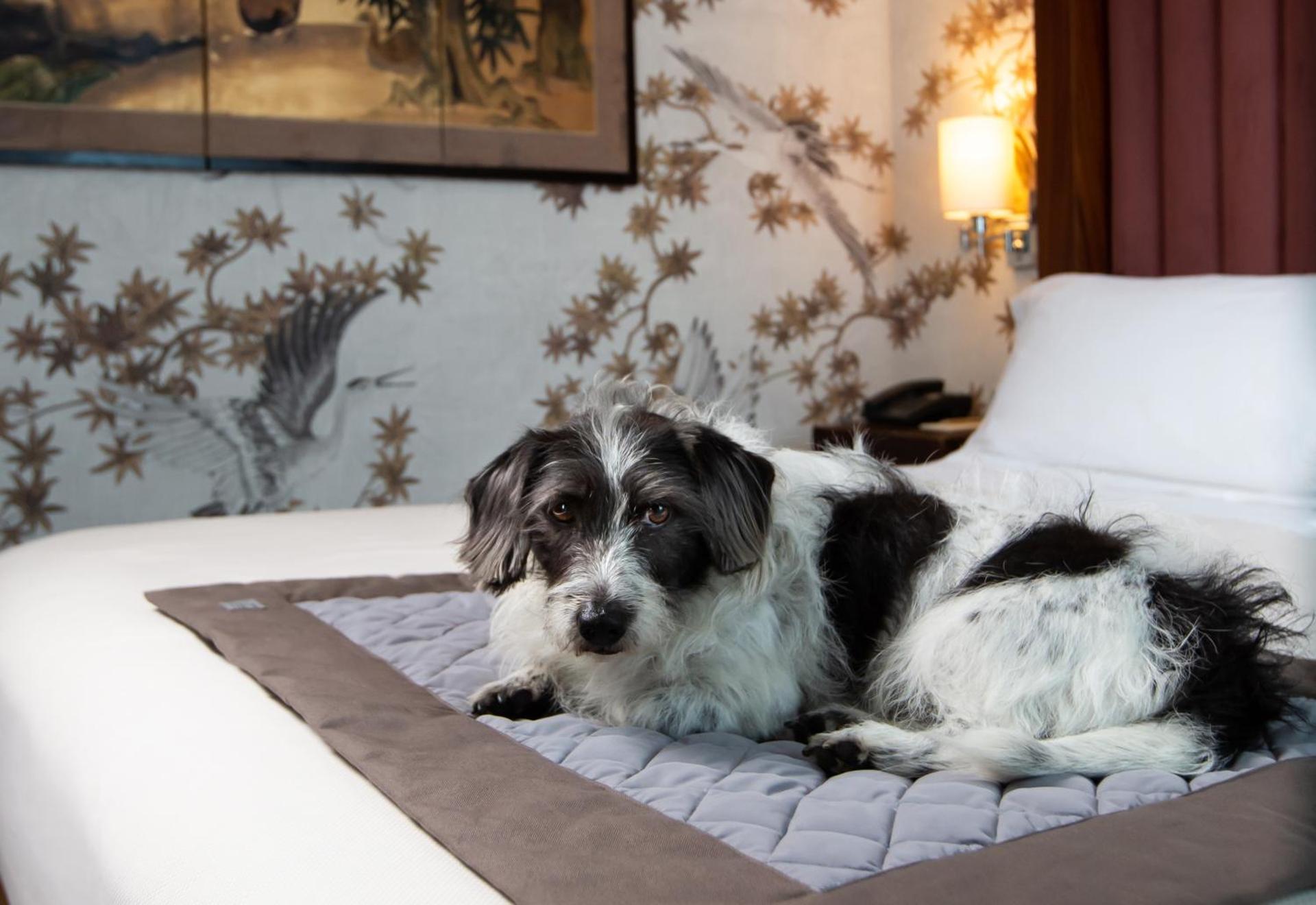 Enterprise Hotel Design & Boutique - Photo 69