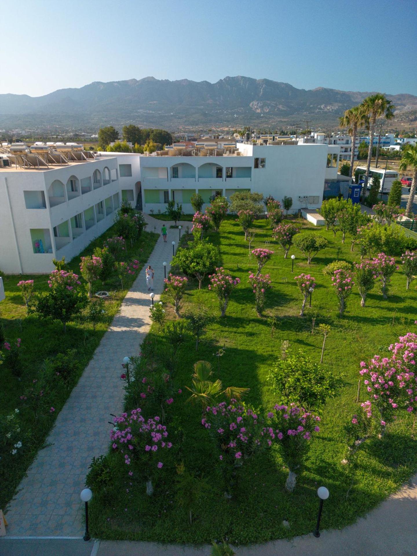 Tropical Sol - Photo 2