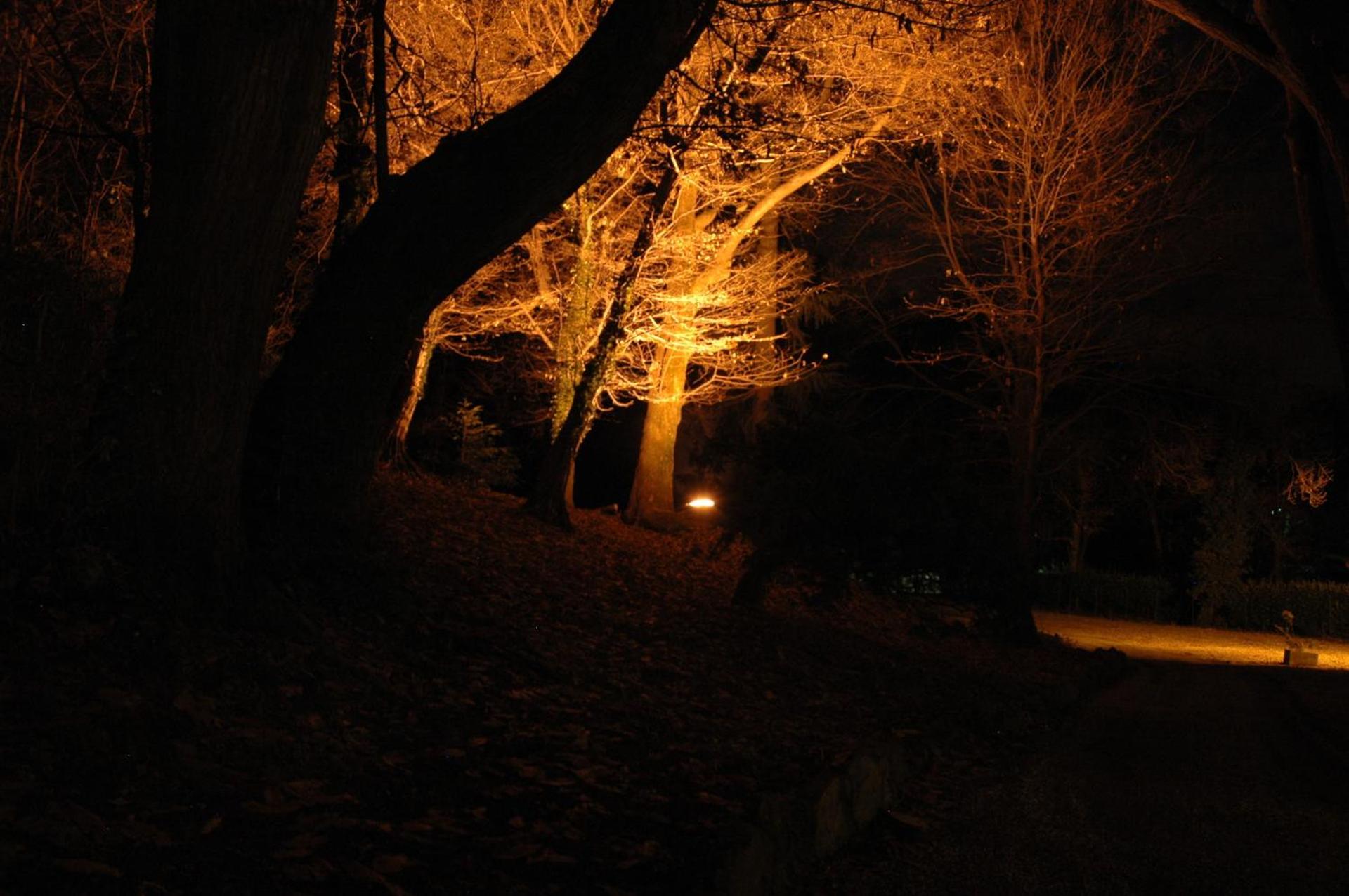 Ristorante Hotel Falchetto - Photo 11