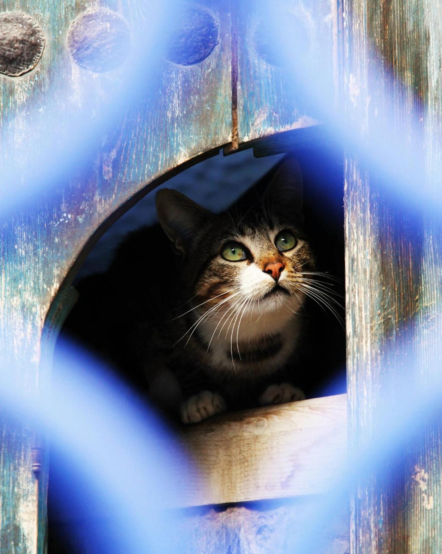 Hotel Dar Mounir - Photo 73