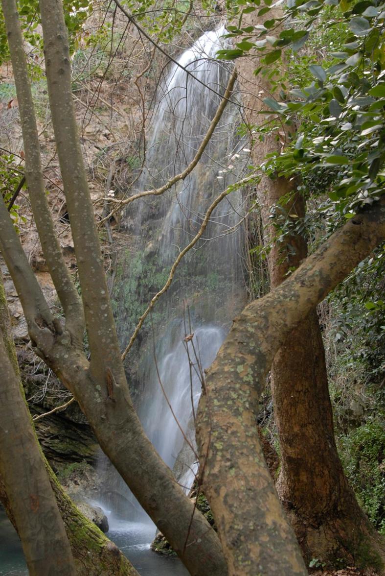 Kythera Irida - Photo 42