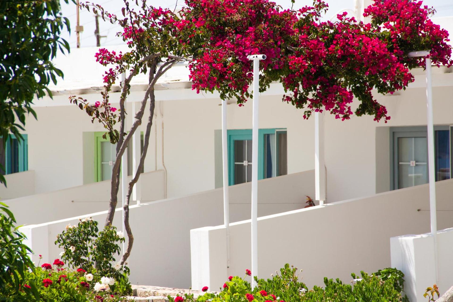 Parasporos Village - Photo 33