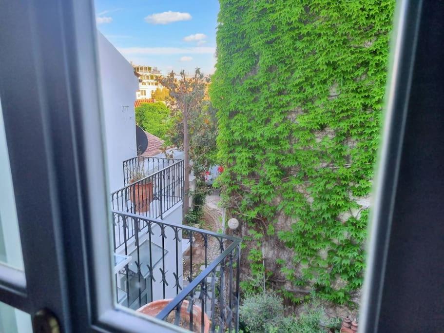 Lemon Tree House with garden in Plaka - Photo 30