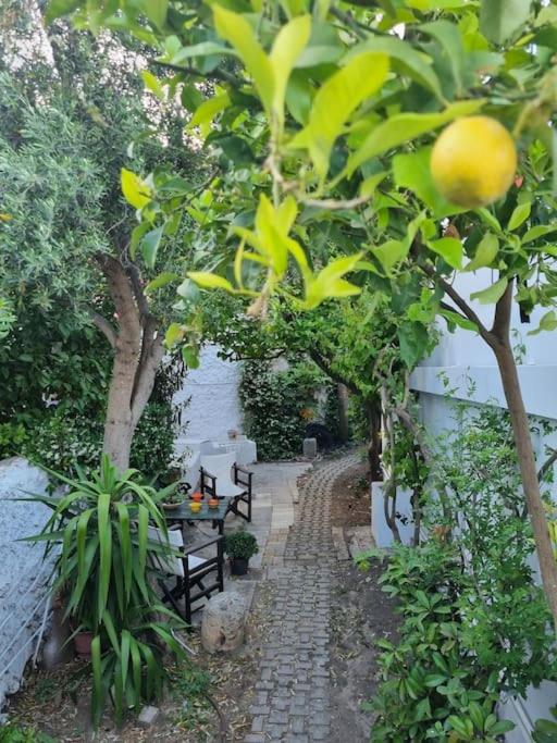 Lemon Tree House with garden in Plaka - Photo 25