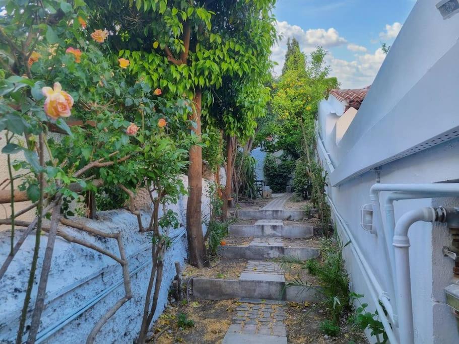 Lemon Tree House with garden in Plaka - Photo 21