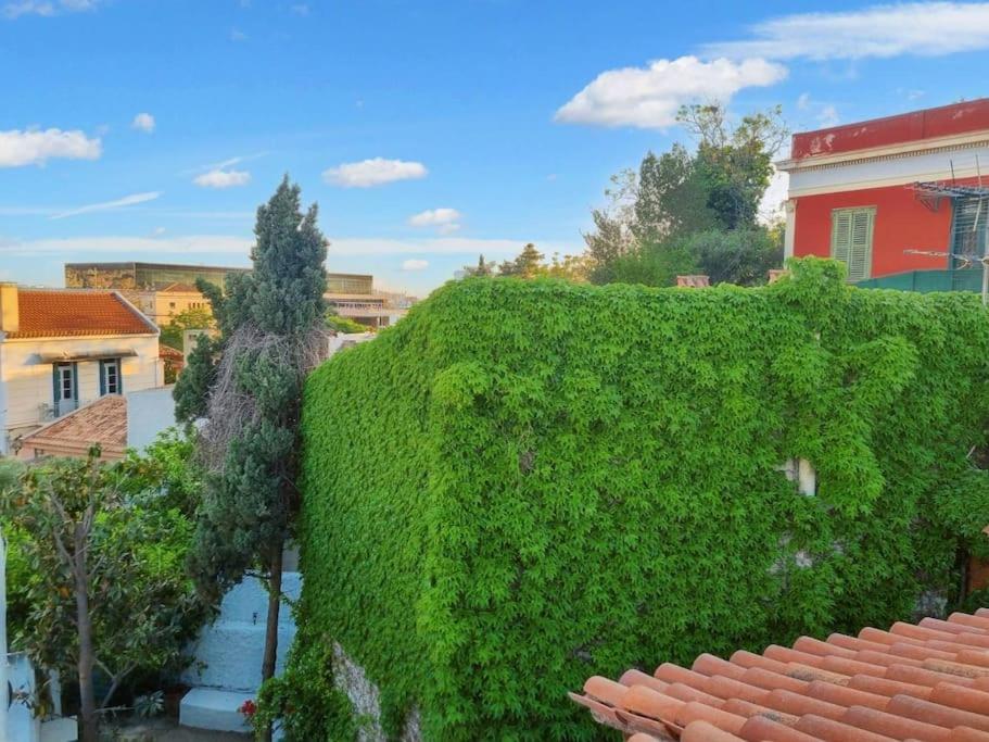 Lemon Tree House with garden in Plaka - Photo 17