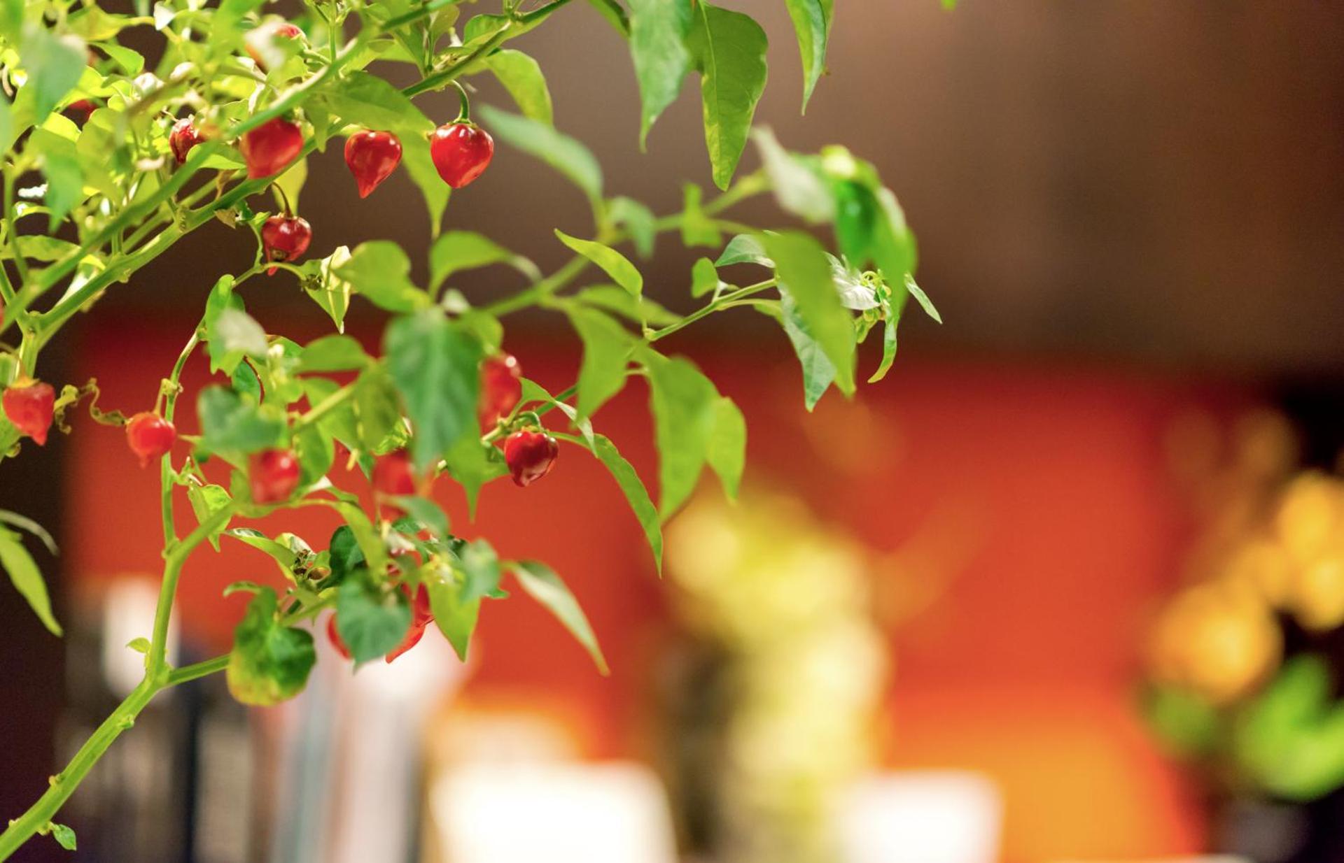 Hotel Cavour - Photo 4