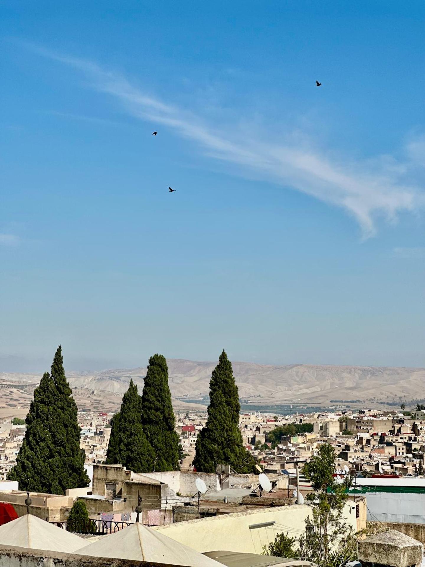 Riad Damia Suite & Spa - Photo 197