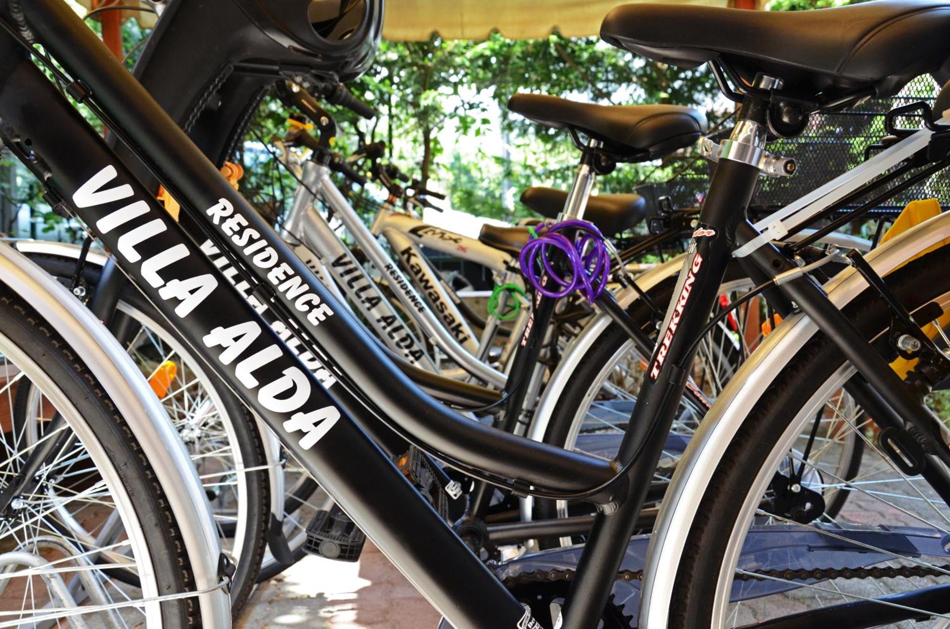 Residence Villa Alda - Photo 167