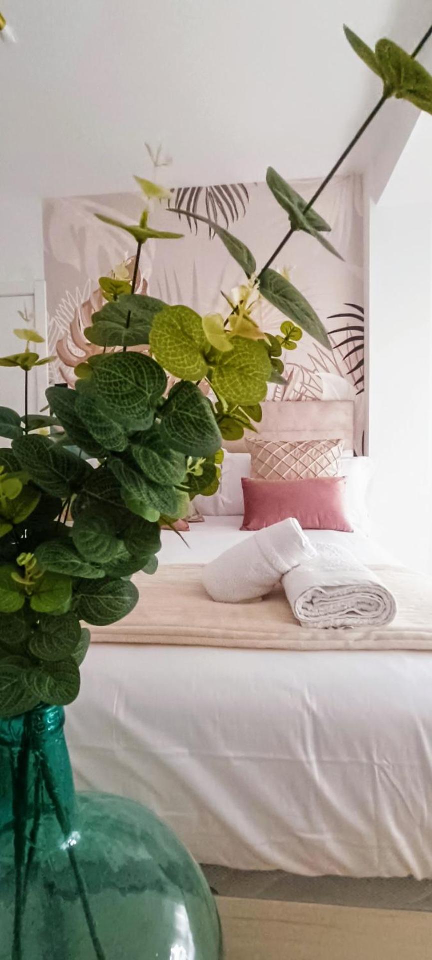 Apartamento Centro Ancha de Gracia - Photo 7