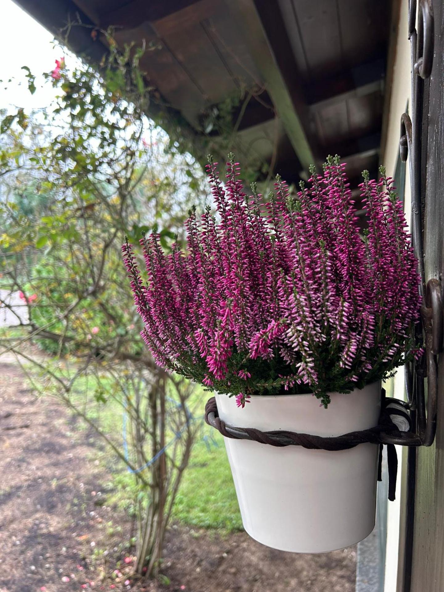 Cascina Scova Resort - Photo 107