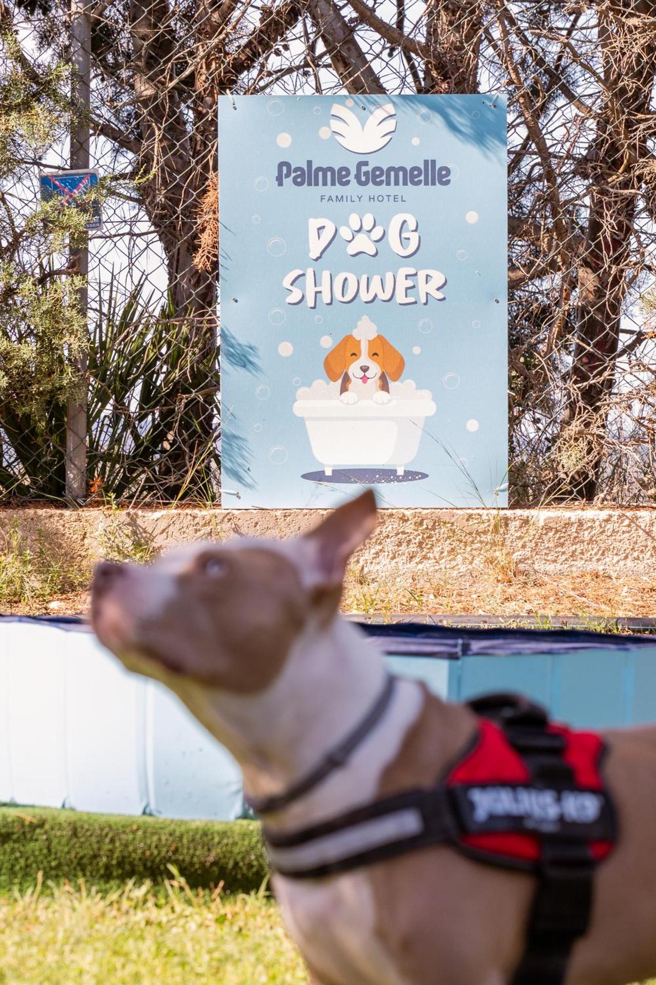 Hotel Palme Gemelle - Photo 85