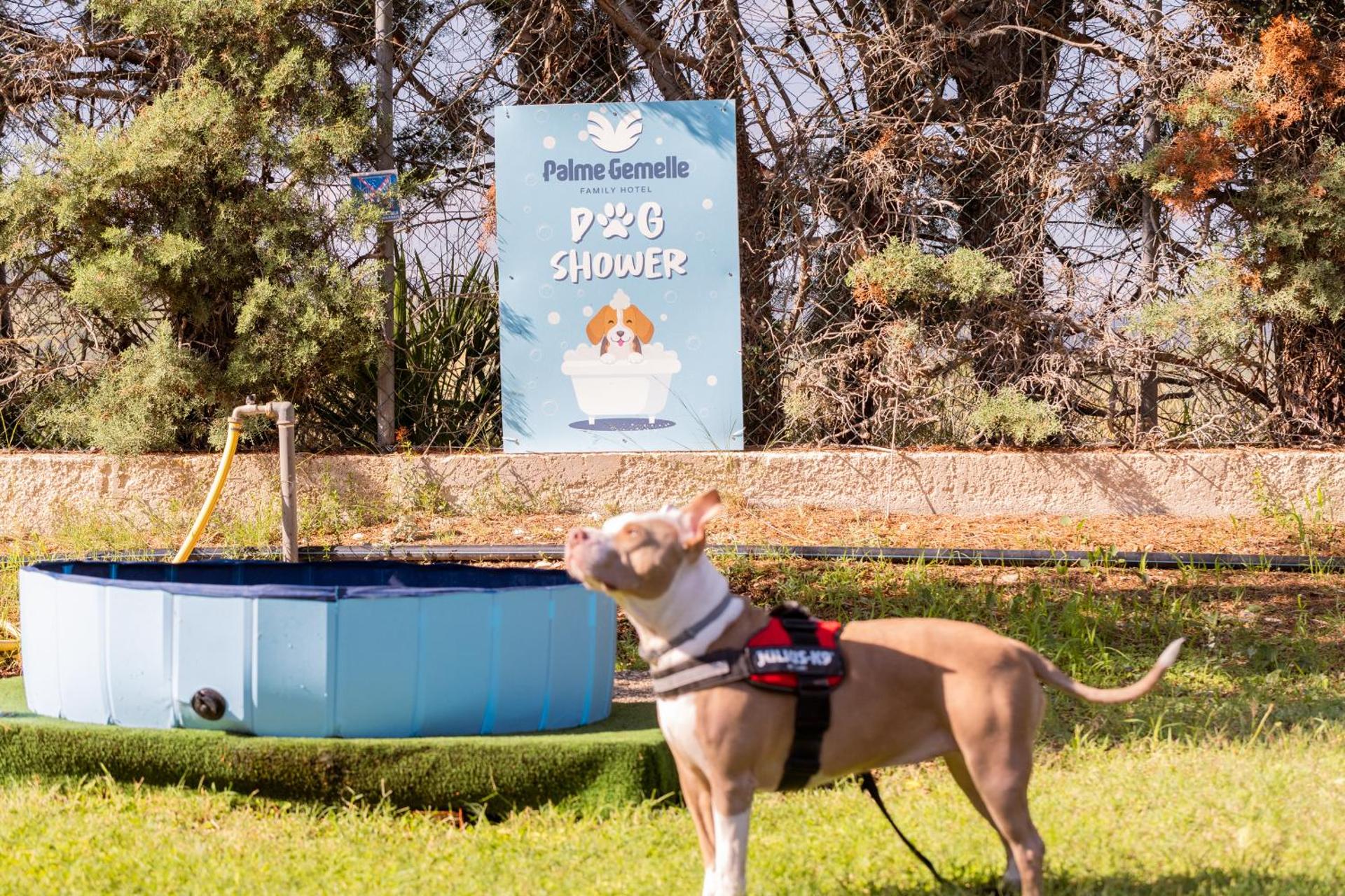 Hotel Palme Gemelle - Photo 87