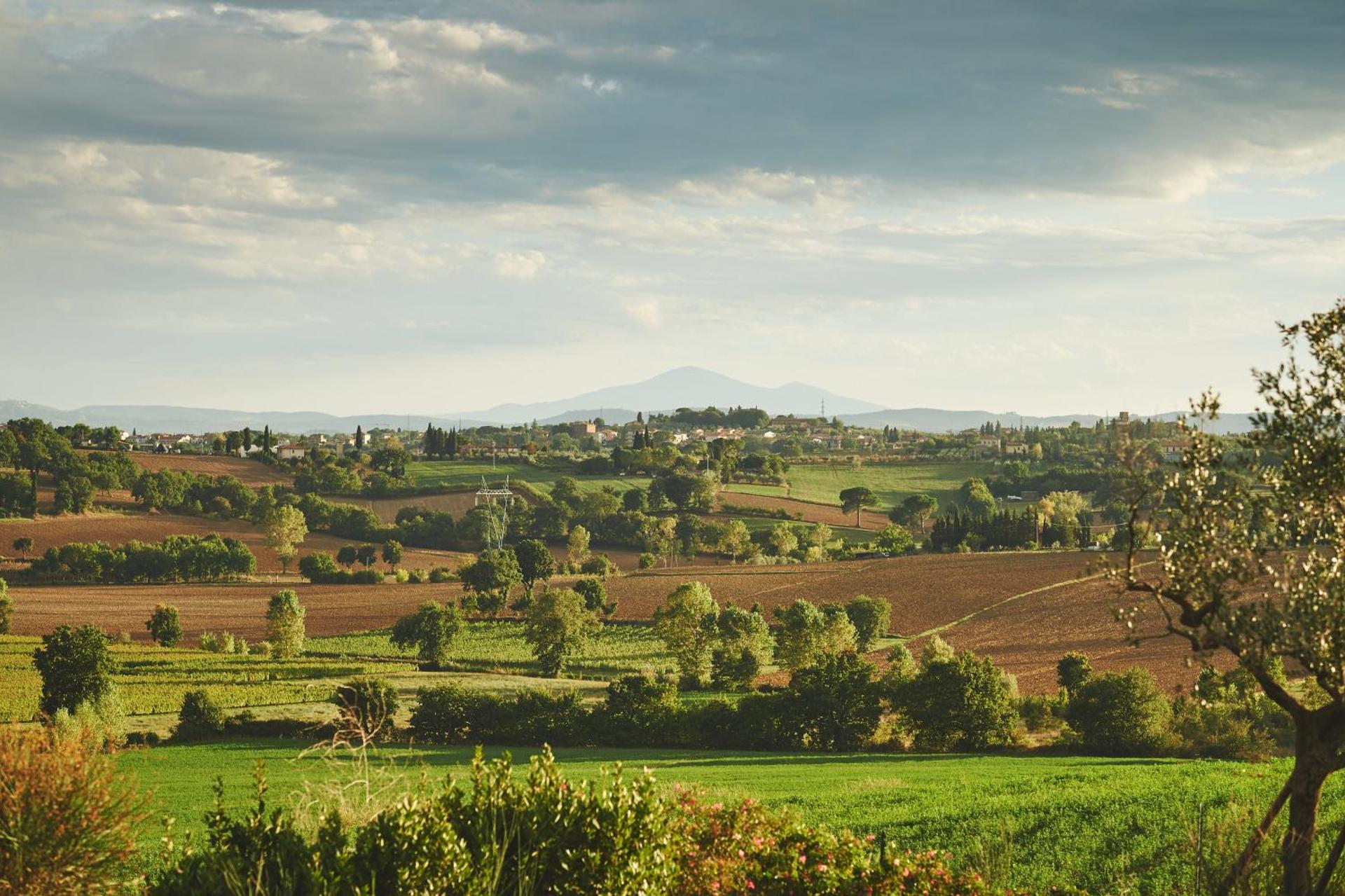 Casa Vacanze B&B Poggio Al Vento Toscana - Photo 10