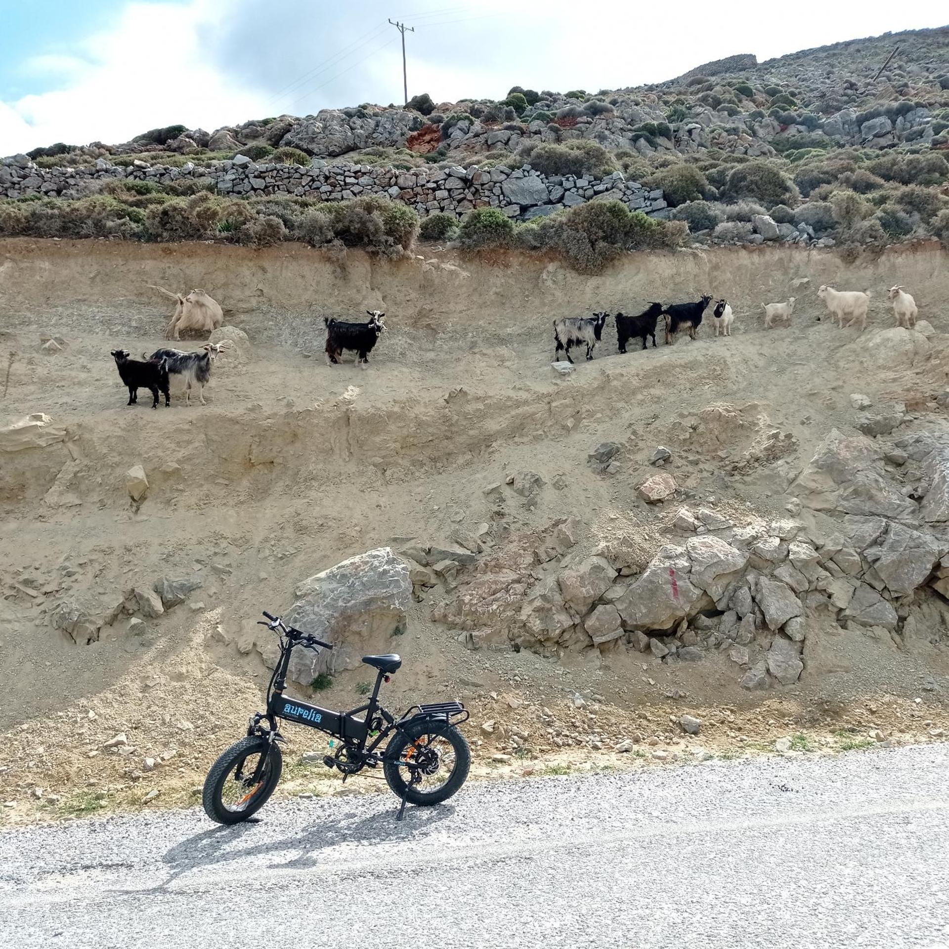 Vigla Hotel - Photo 124