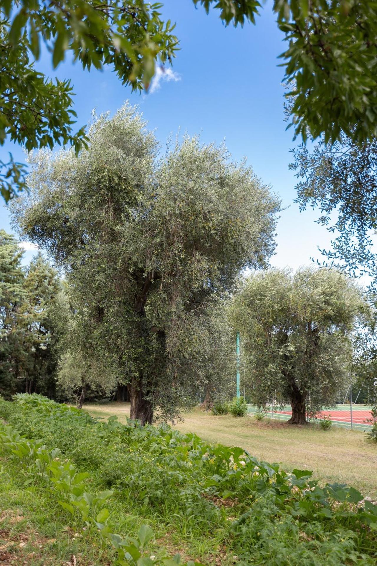 Hotel Palme Gemelle - Photo 107