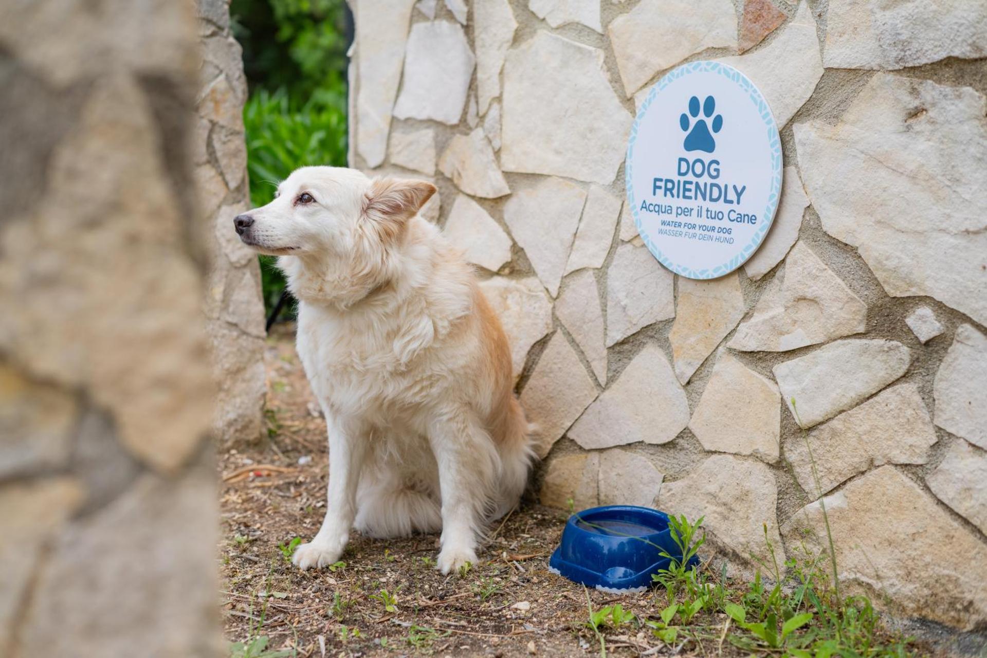 Hotel Palme Gemelle - Photo 51