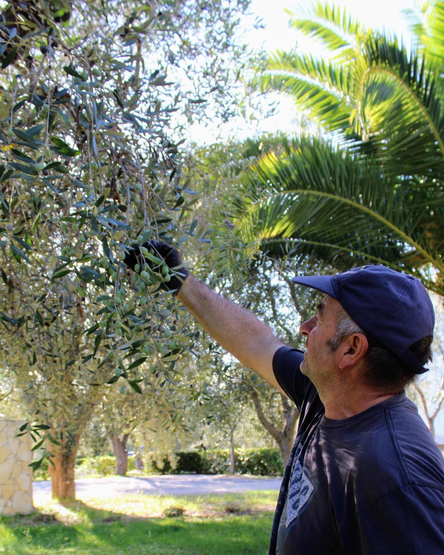 Hotel Palme Gemelle - Photo 115