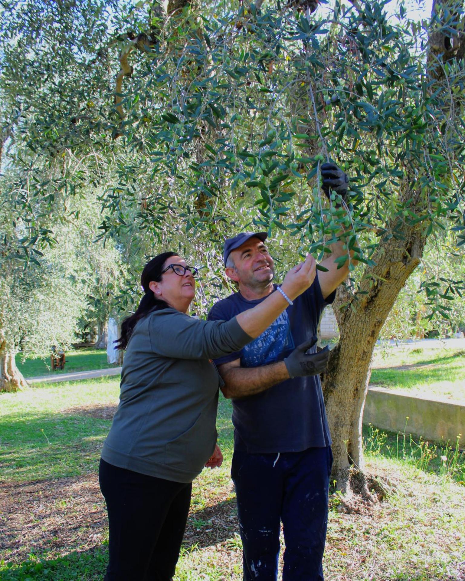 Hotel Palme Gemelle - Photo 134