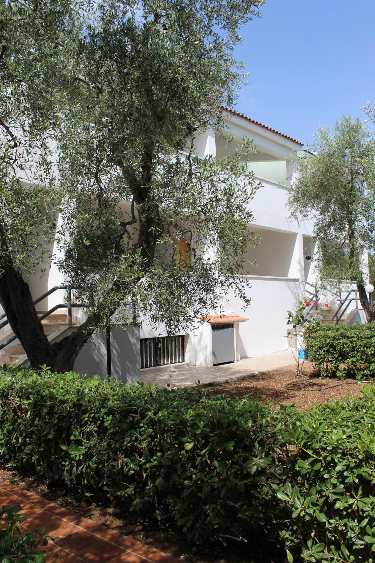 Hotel Palme Gemelle - Photo 133