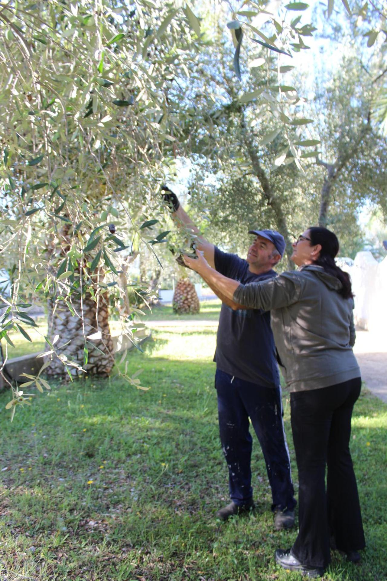 Hotel Palme Gemelle - Photo 139