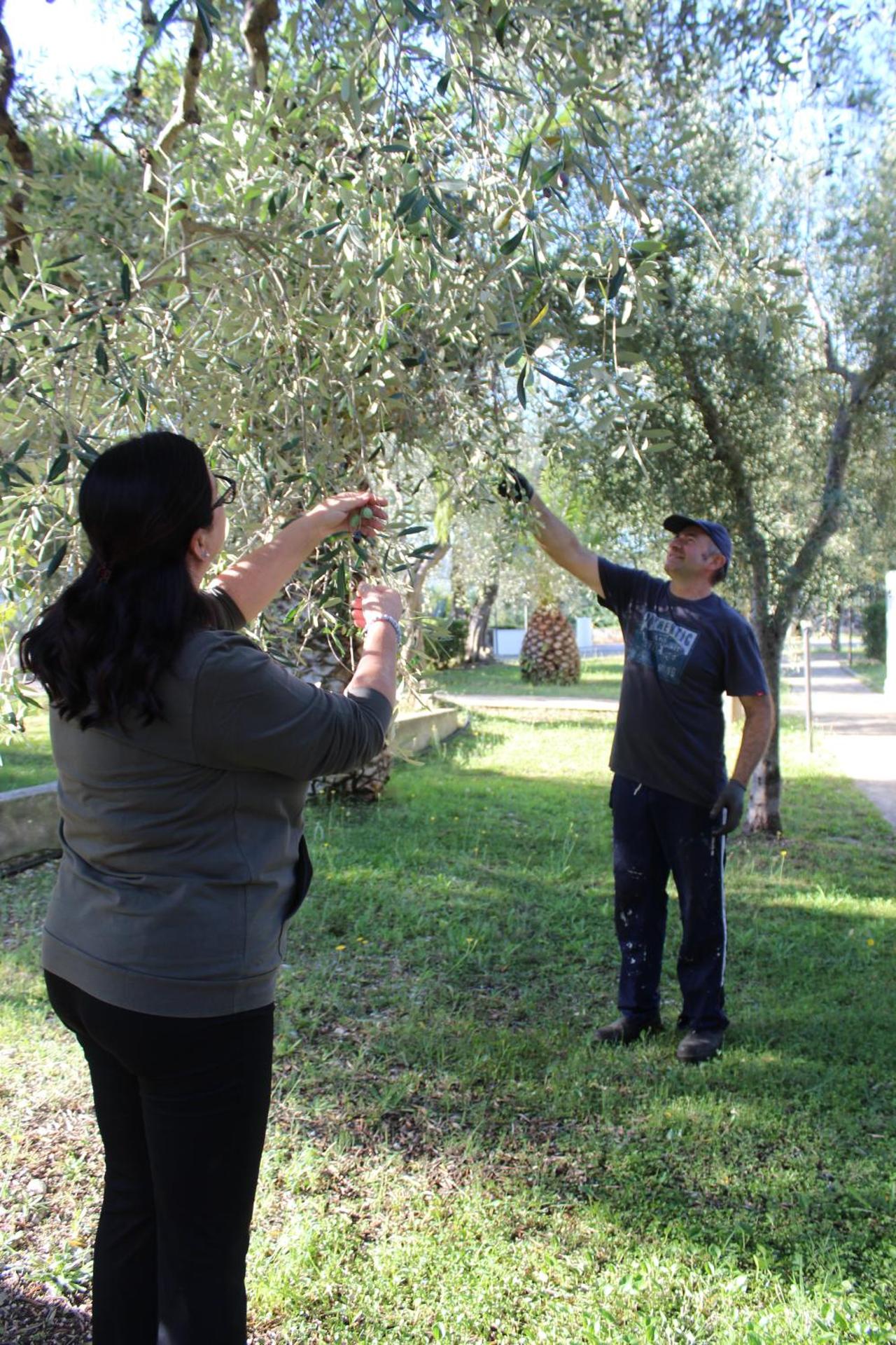 Hotel Palme Gemelle - Photo 141