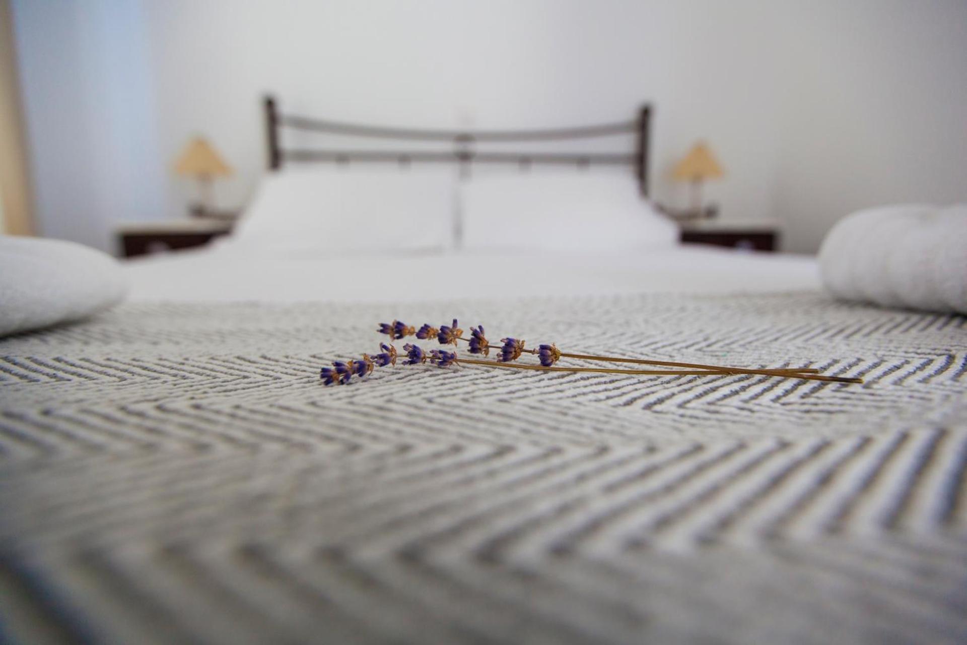 Astarti Apartments - Photo 19