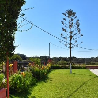 Paradise Studios - Photo 8