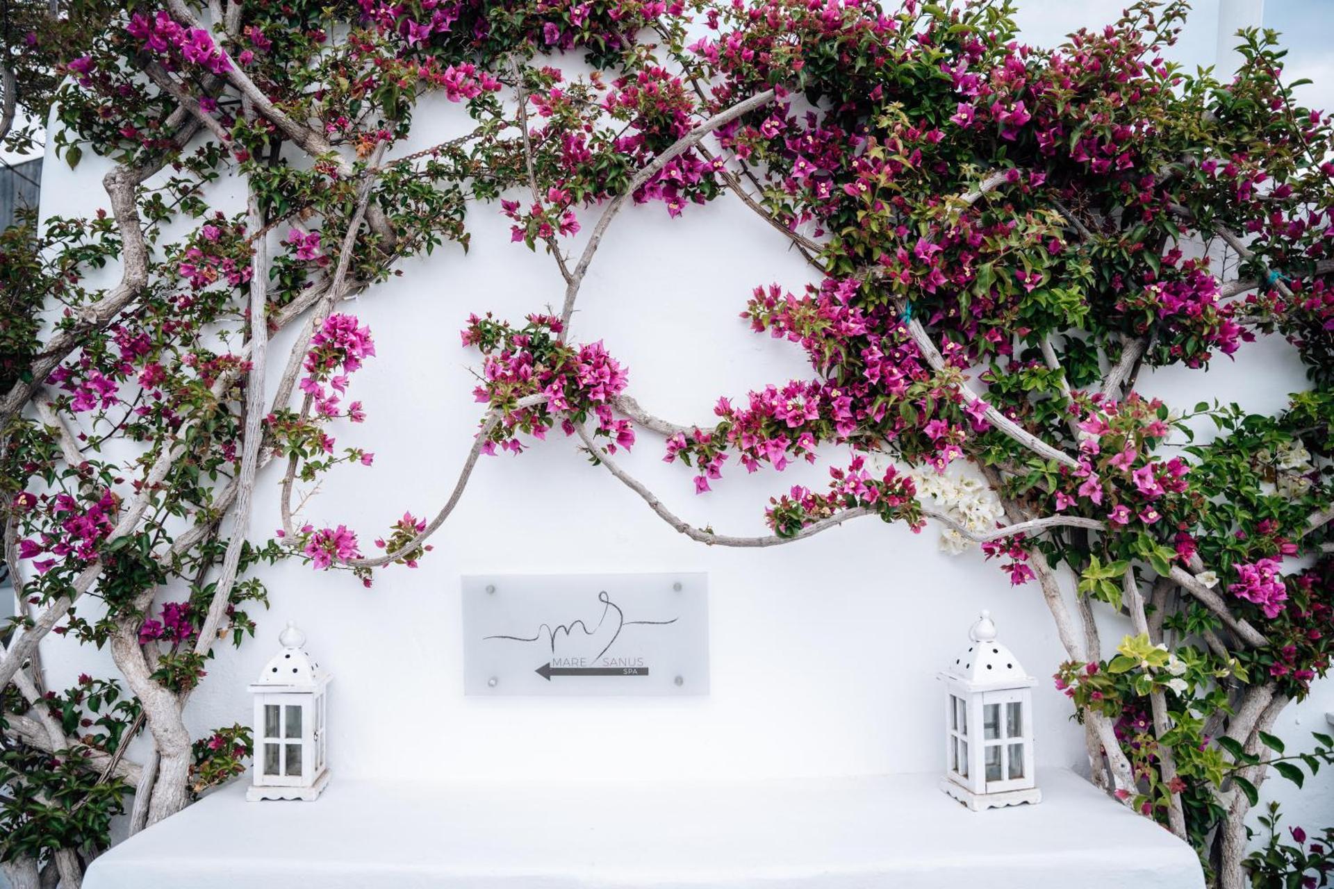 Andronis Luxury Suites - Photo 19